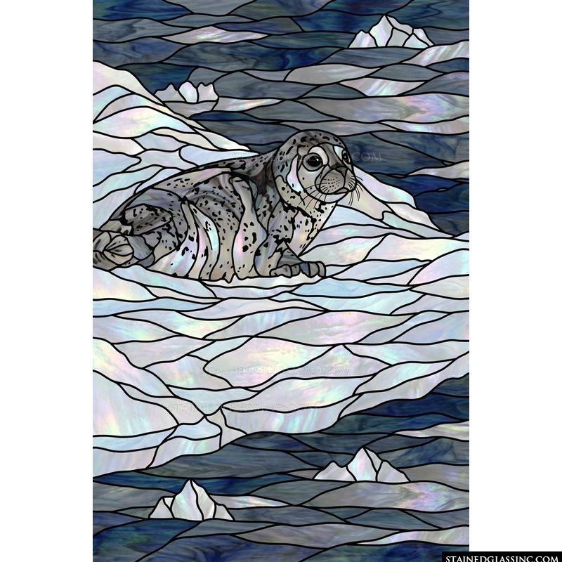 Spotted Seal on Arctic Ice