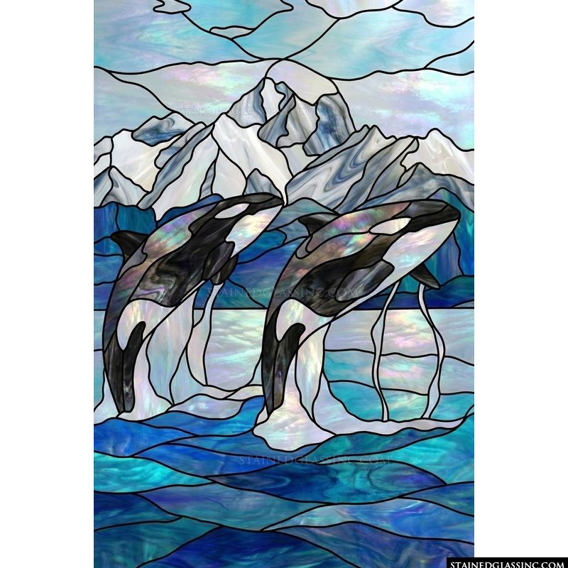 Orcas Breaching Near Snow-Capped Mountains