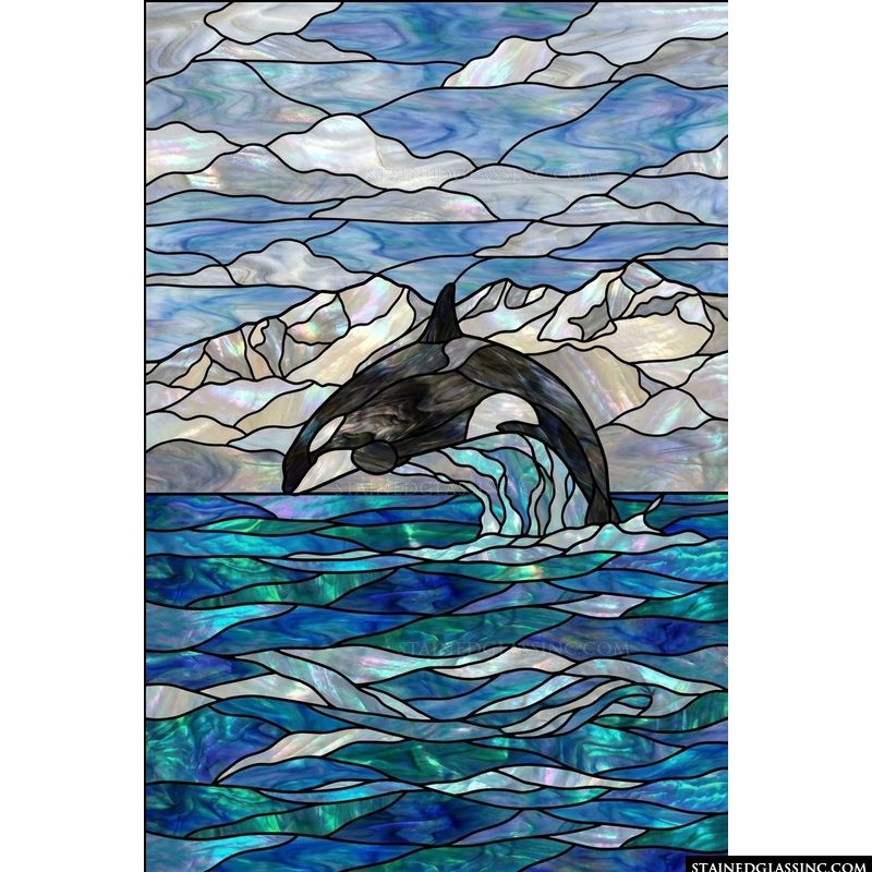 Orca Leaping in Coastal Waters
