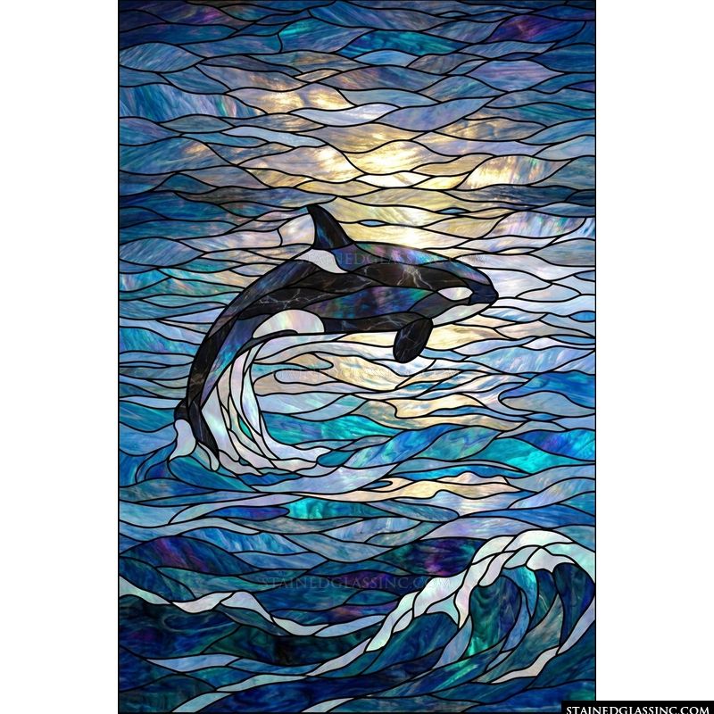 Orca Leaping in Radiant Seas