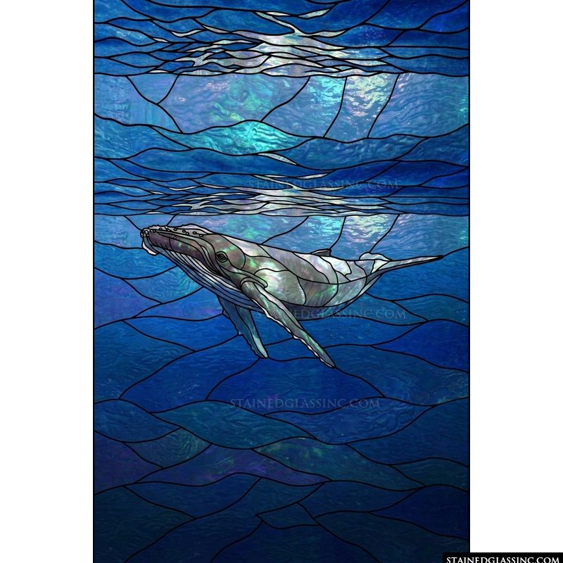 Humpback Whale in Deep Blue Waters