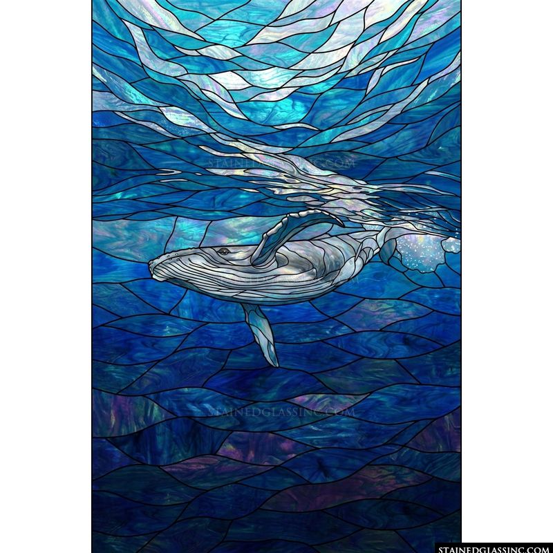 Humpback Whale in Deep Blue Waters