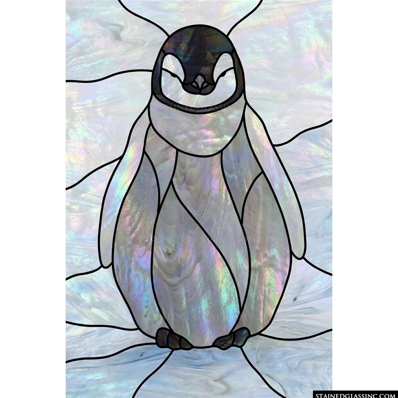 Iridescent Penguin Chick