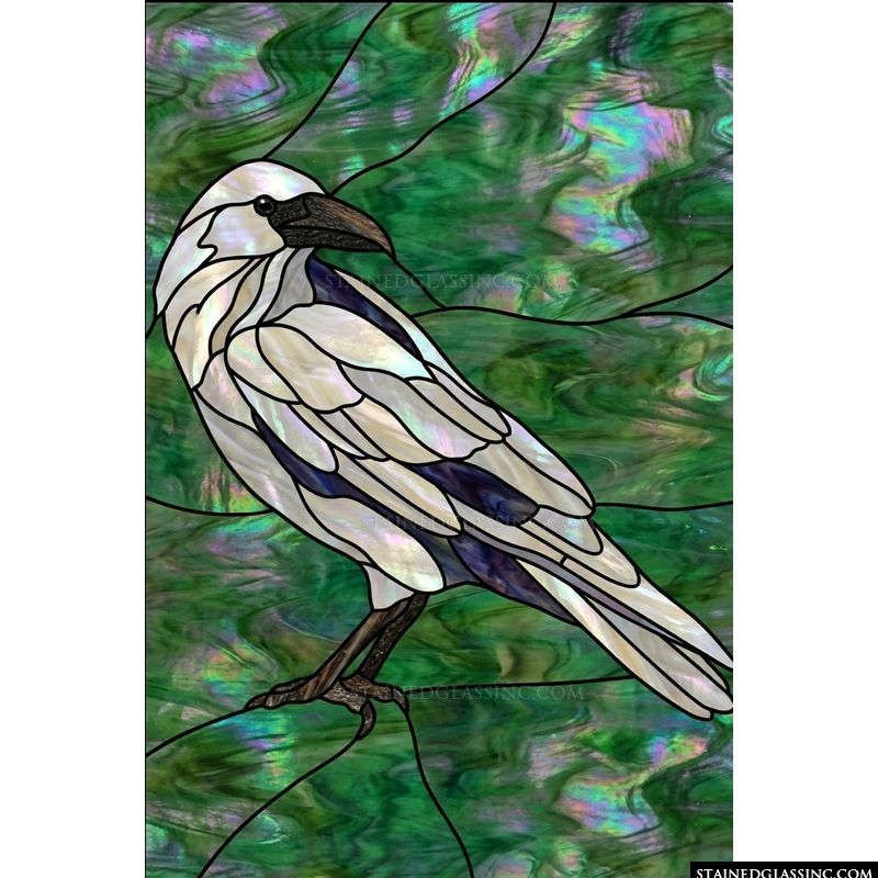 White Raven in Emerald Woods