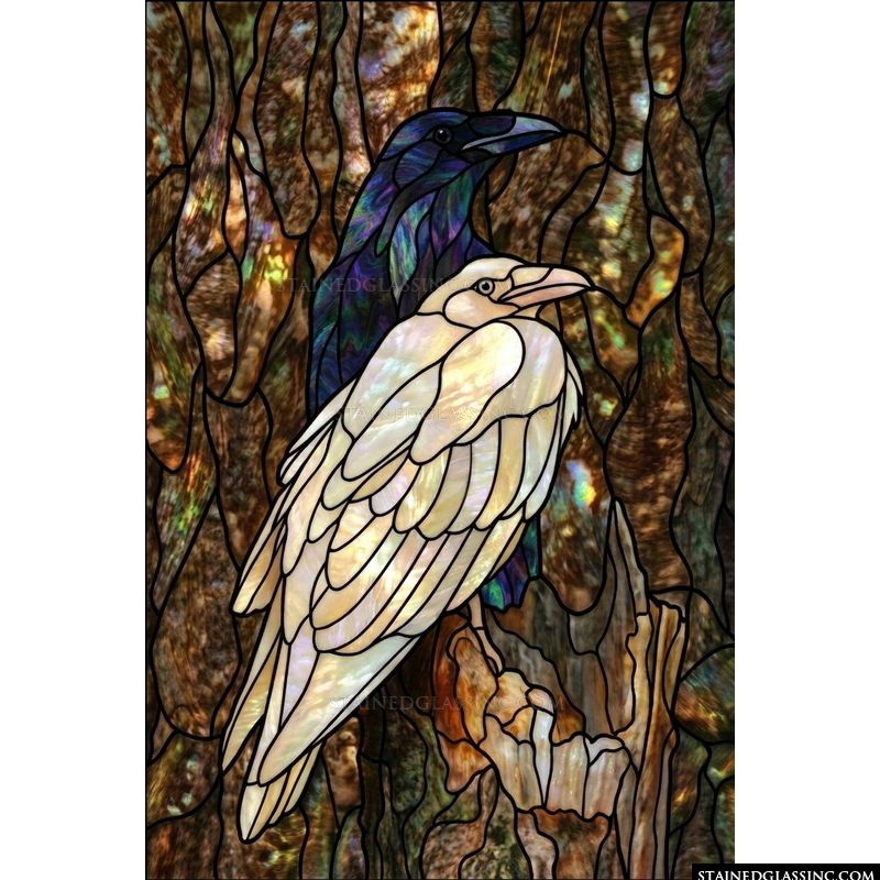 Raven Duo in Light and Shadow
