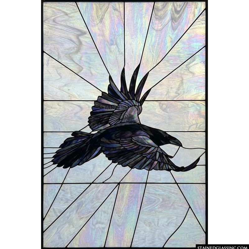 Raven in Radiant Flight
