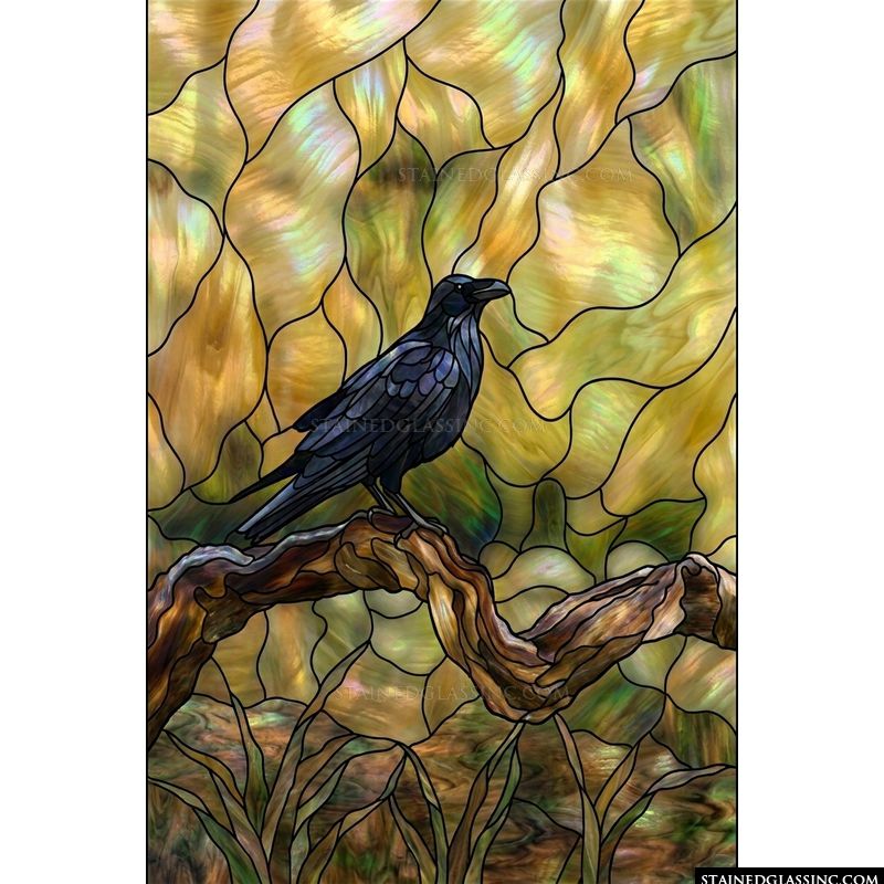 Raven Perched on Gnarled Branch