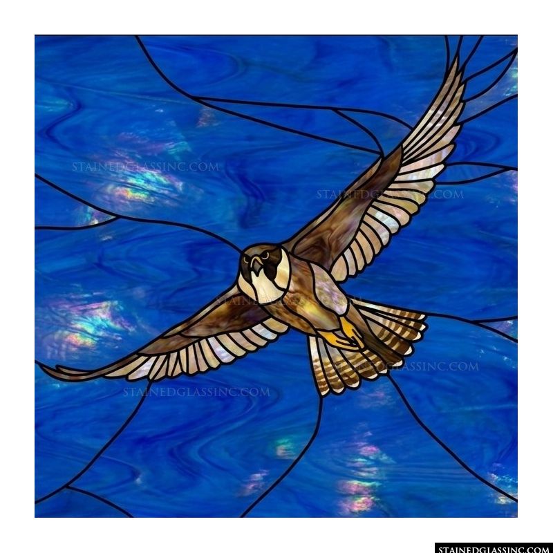 Peregrine Falcon in Flight