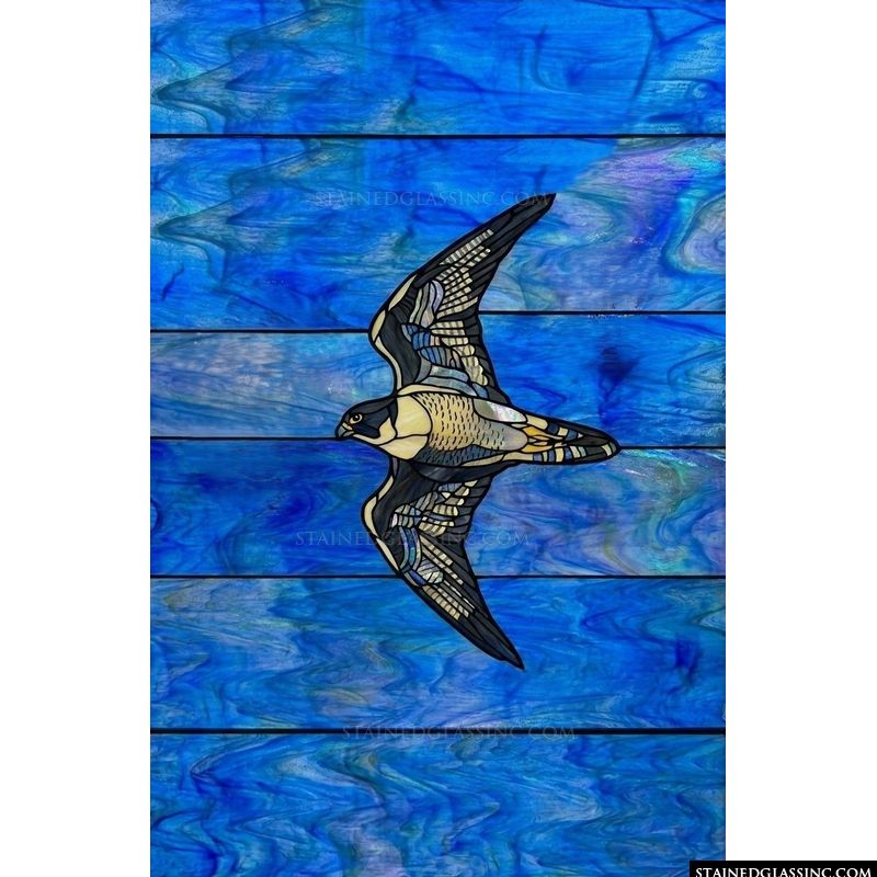Peregrine Falcon in Flight