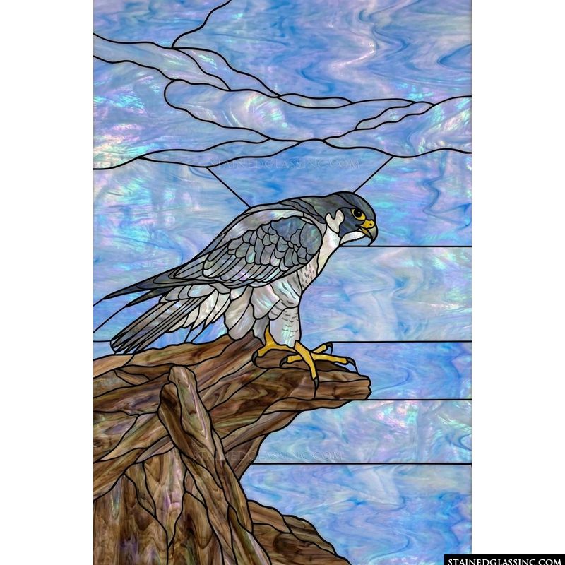 Peregrine Falcon Perched on Driftwood