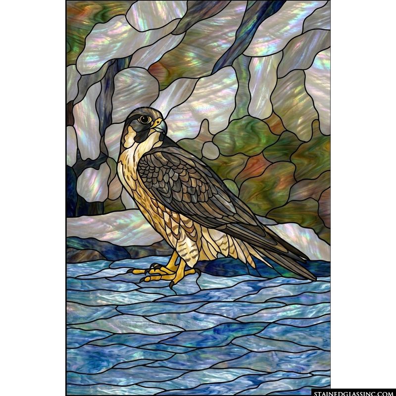 Peregrine Falcon in Iridescent Light