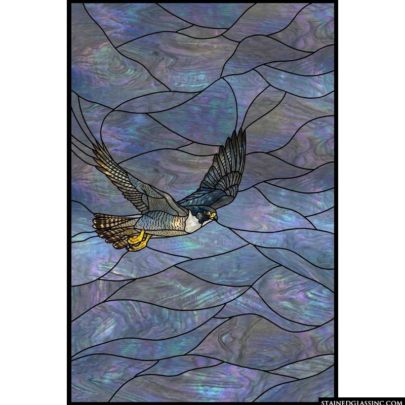 Peregrine Falcon in Flight
