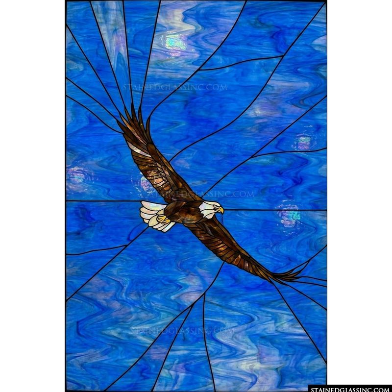 Majestic Soaring American Eagle