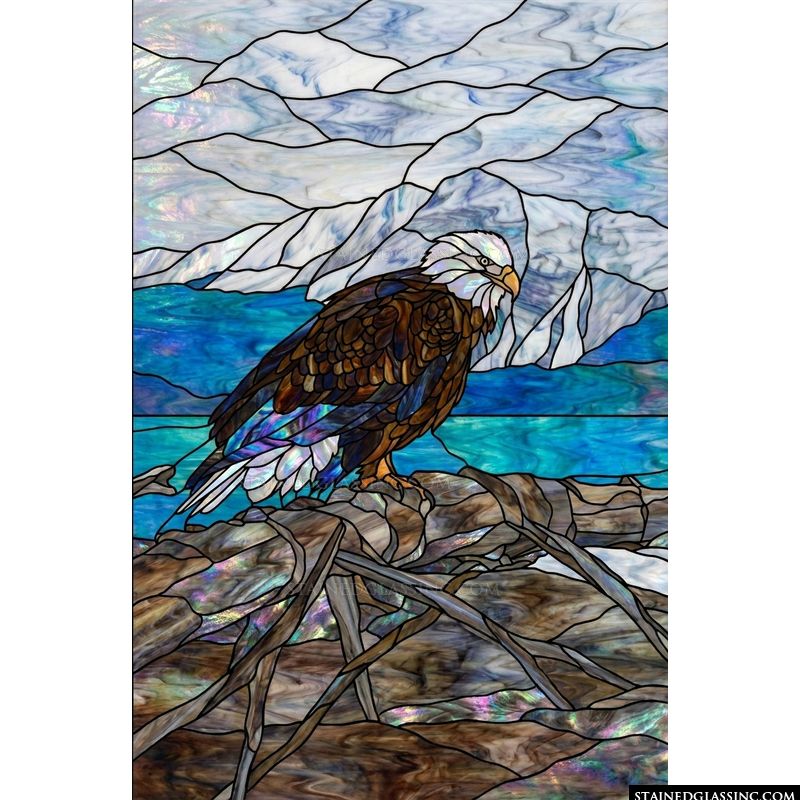Majestic Bald Eagle at Lakeside