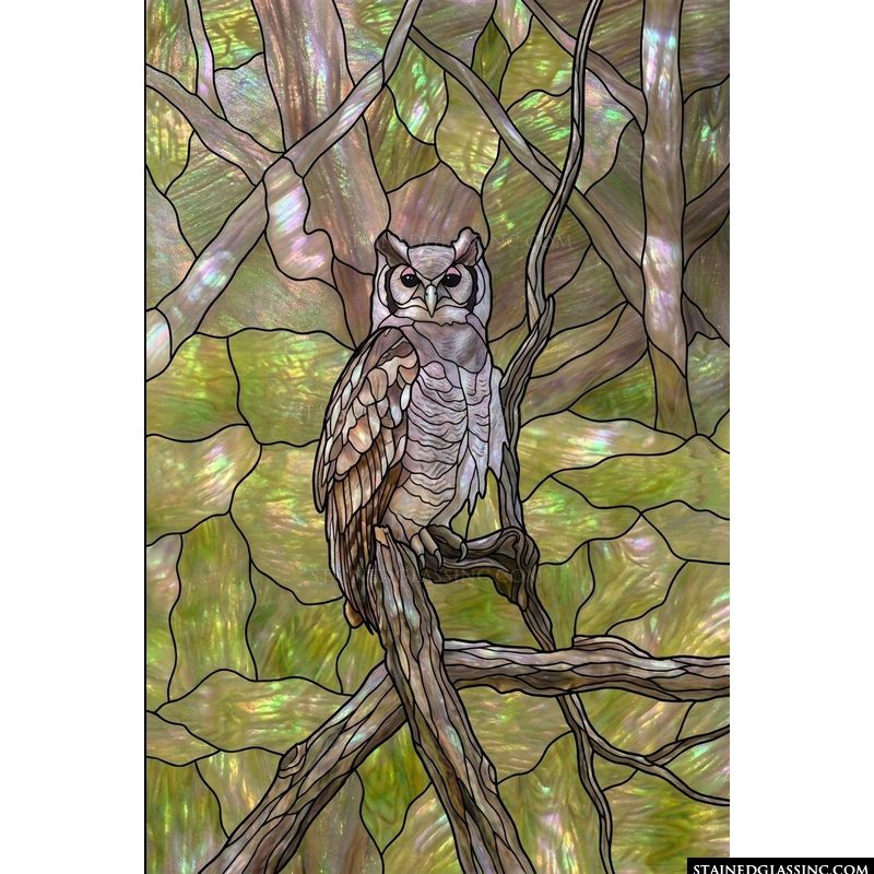 Great Horned Owl in the Forest