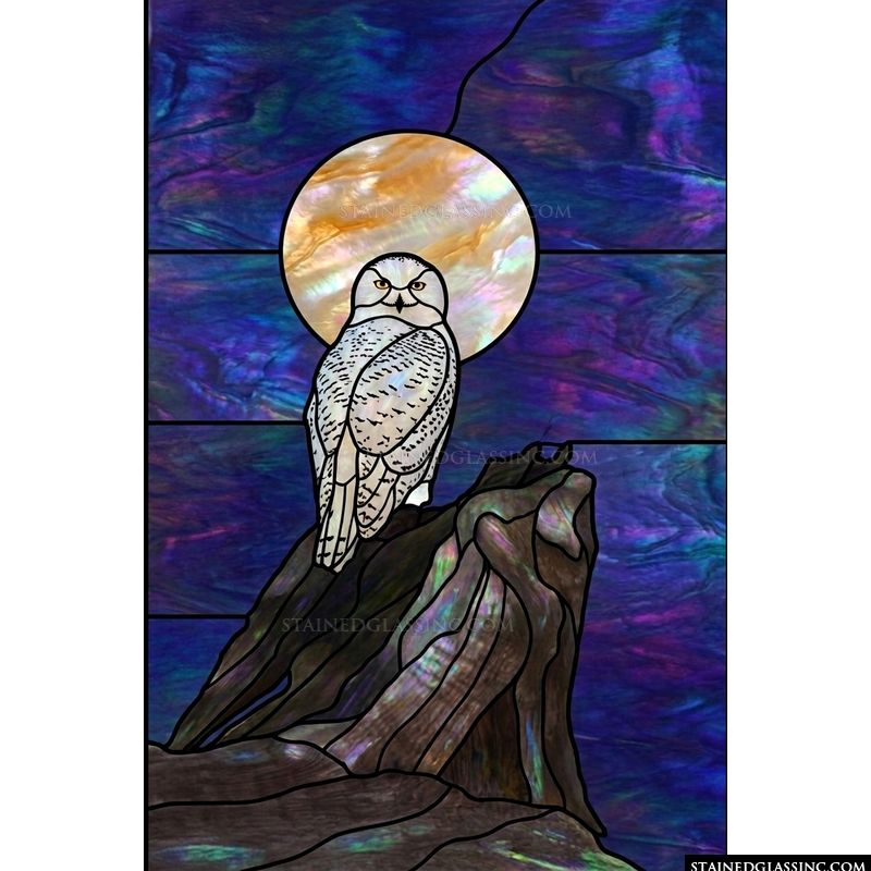 Snowy Owl at Midnight