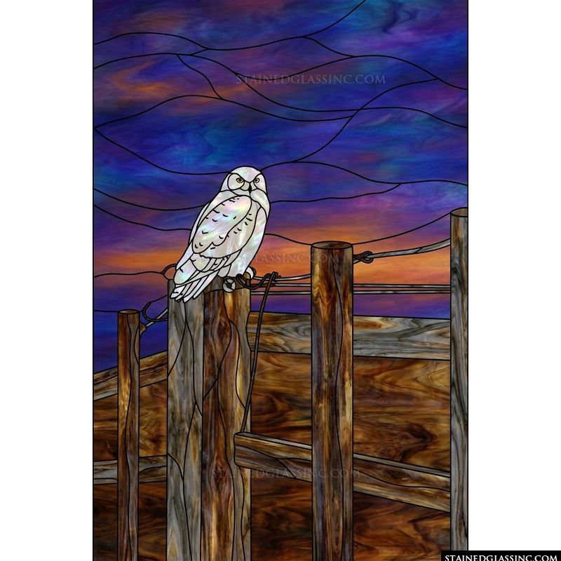 Snowy Owl Perched at Sunset