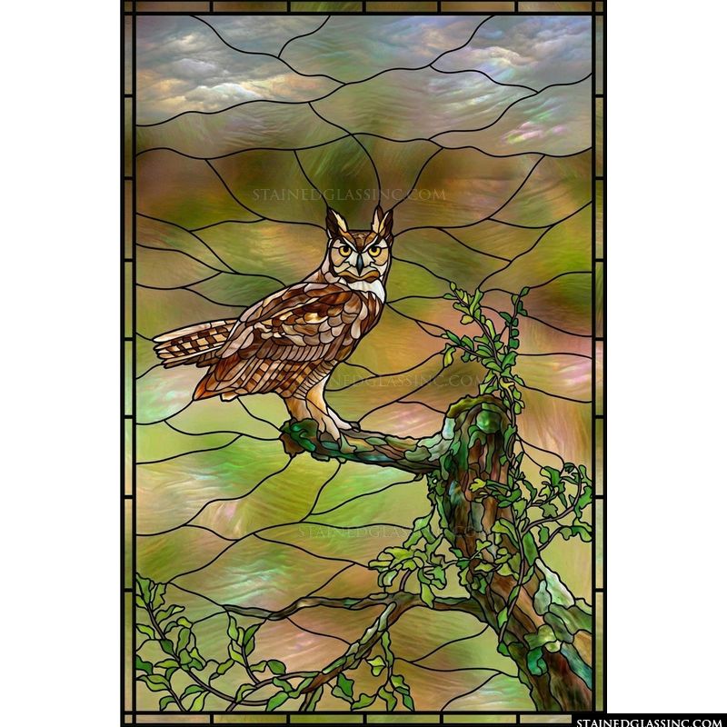 Great Horned Owl Perched in Forest