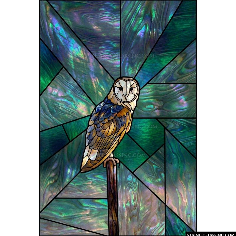 Barn Owl at Dusk