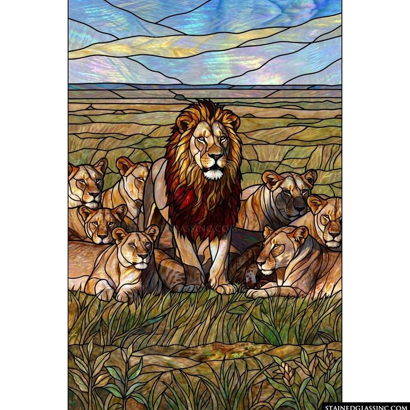 Lion Pride in the Savanna