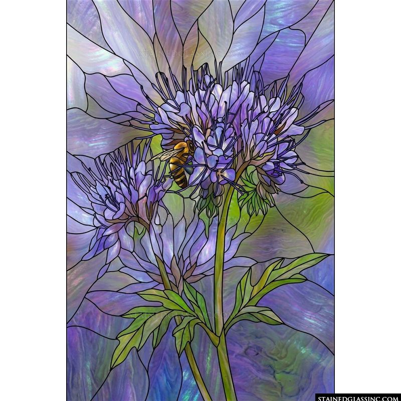 Bee on Purple Phacelia Blossoms