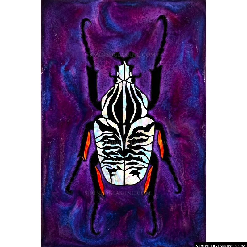 Iridescent Zebra Beetle