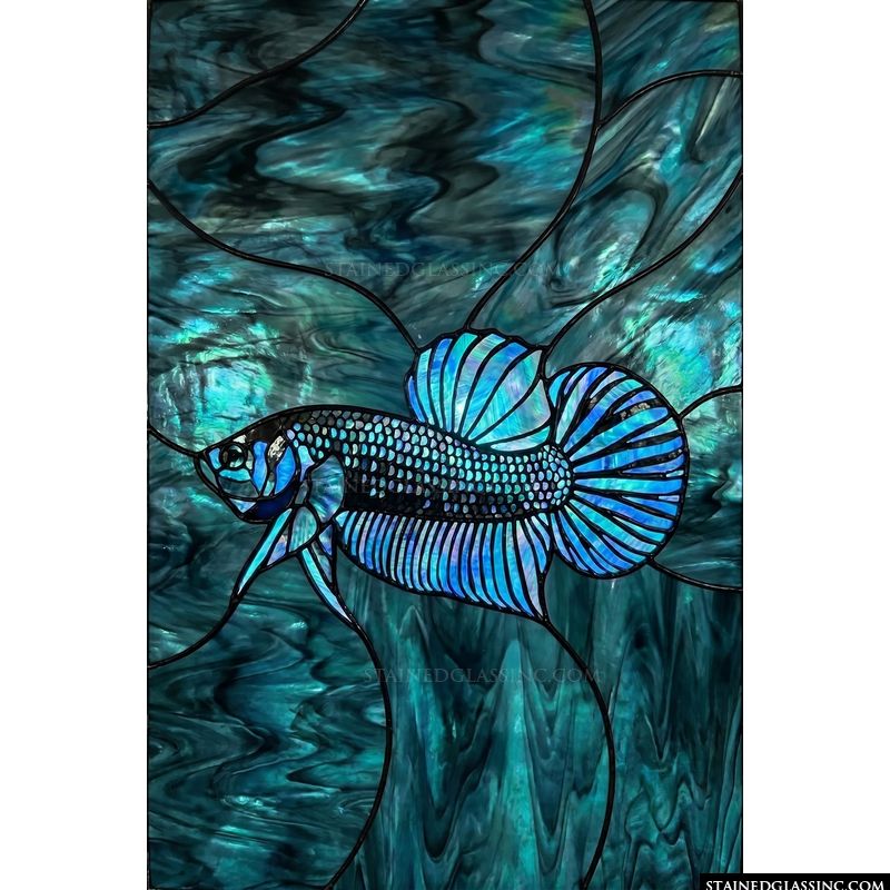 Betta Fish in Shimmering Teal