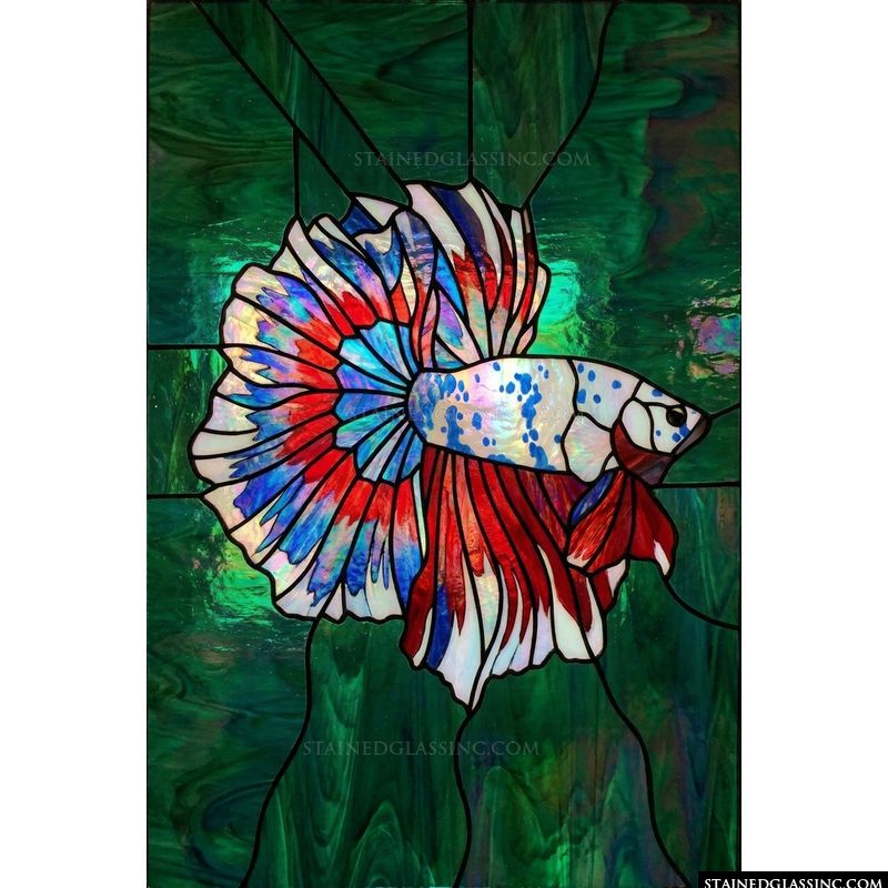 Betta Fish in Luminous Jewel Tones