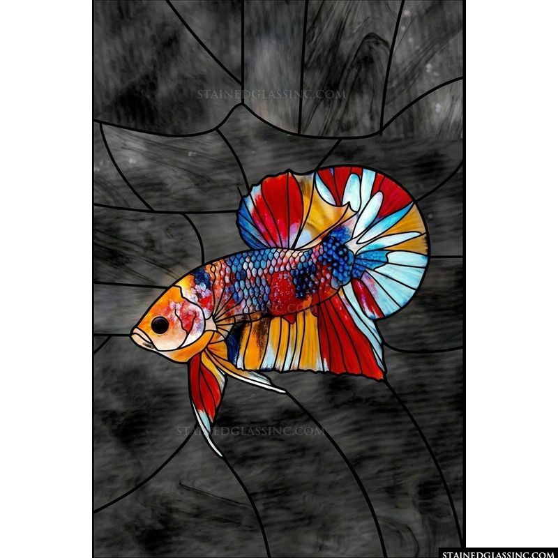 Betta Fish in Vibrant Hues