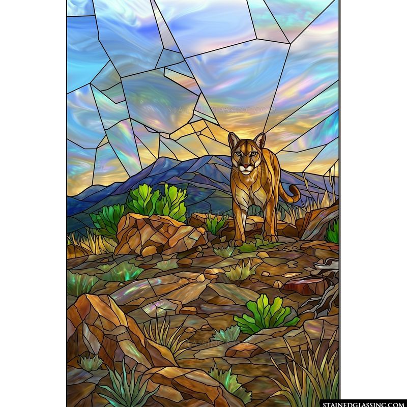 Mountain Lion in the Wilderness