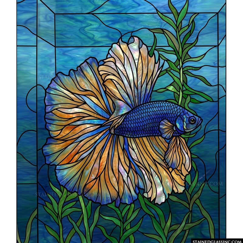 Betta Fish in Aquamarine Waters