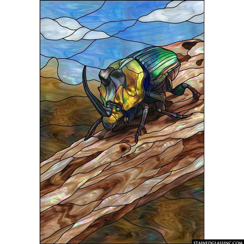 Iridescent Rhinoceros Beetle on Bark