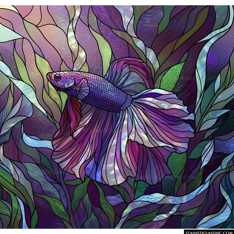 Betta Fish in Ethereal Depths