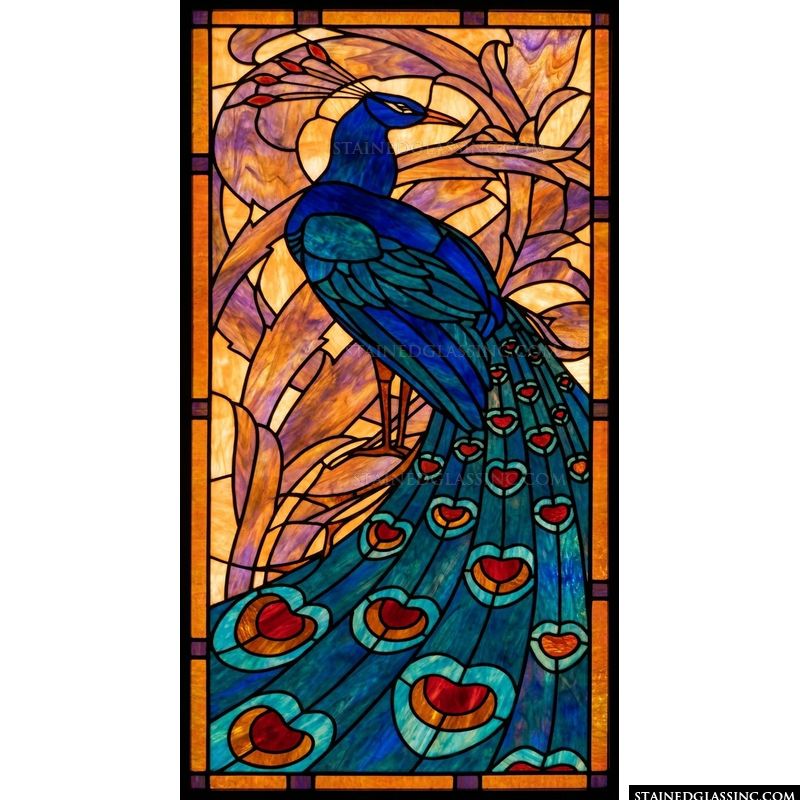 Peacock with Plumage in Blue and Amber