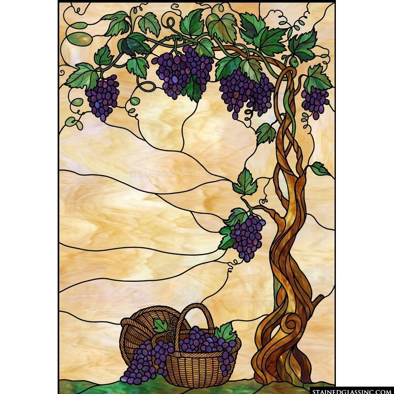 Abundant Harvest Grapevine