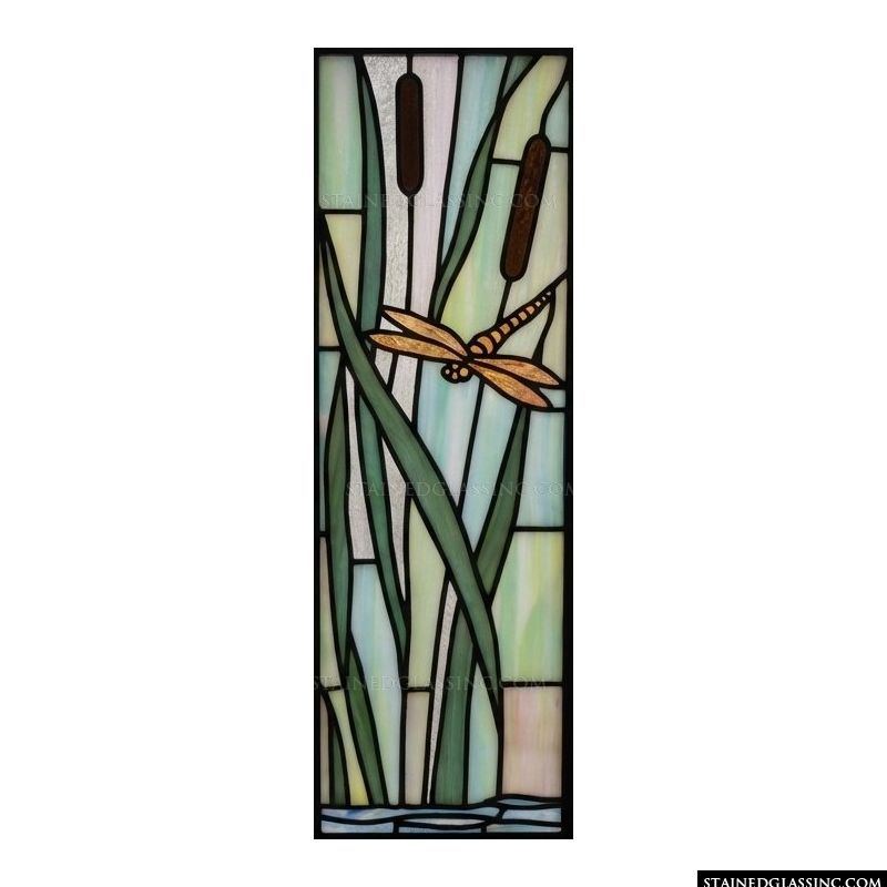Dragonfly in the Reeds