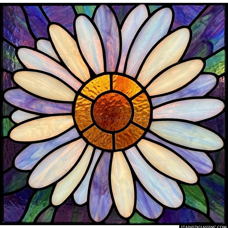 Radiant Daisy Bloom