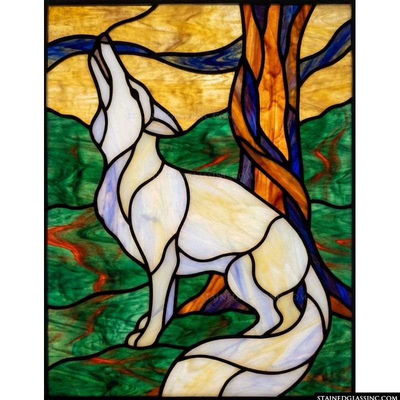 Coyote Howling in the Wild
