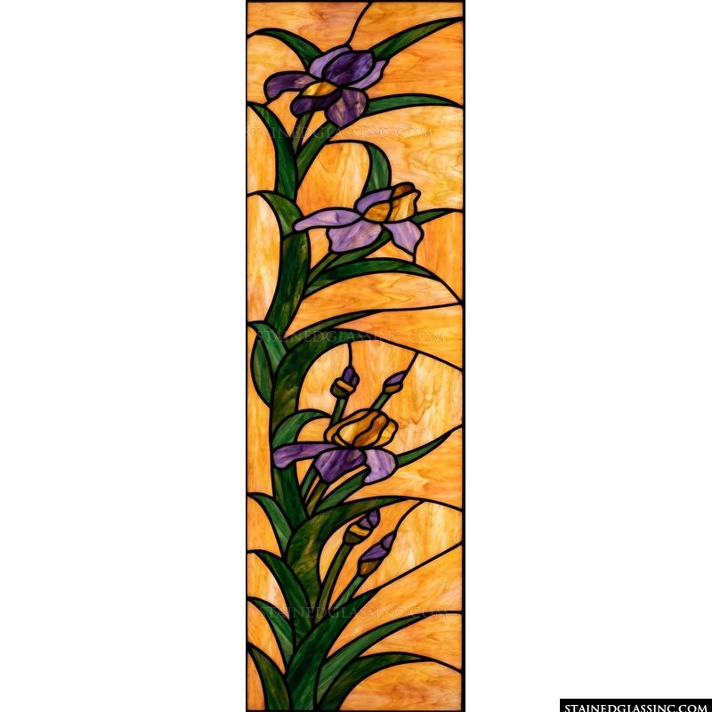 Elegant Irises in Amber and Violet