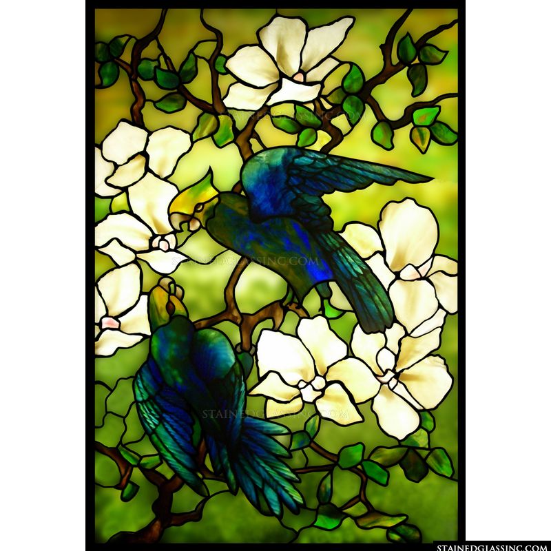 Parrots and Blossoms