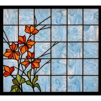 Orange Bloom in the Window