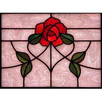 Red Rose Blossom