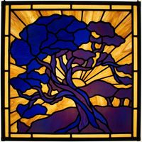 Sunlit Majestic Tree