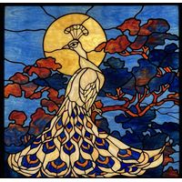 Peacock in Silhouette