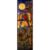 Tropical Macaw Duo at Sunset