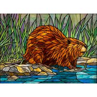 Beaver by the Stream