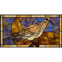 Mourning Dove in Luminous Tones