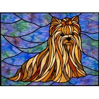 Yorkshire Terrier Portrait