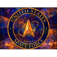 United States Space Force Emblem