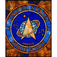 United States Space Force Emblem